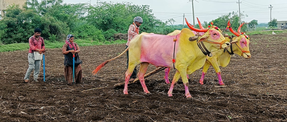 Karnataka Rains: ಪ್ರಬಲ ಮುಂಗಾರು ಅವಧಿಯಲ್ಲೇ 28 ಜಿಲ್ಲೆಗಳಲ್ಲಿ ಮಳೆ ಕೊರತೆ