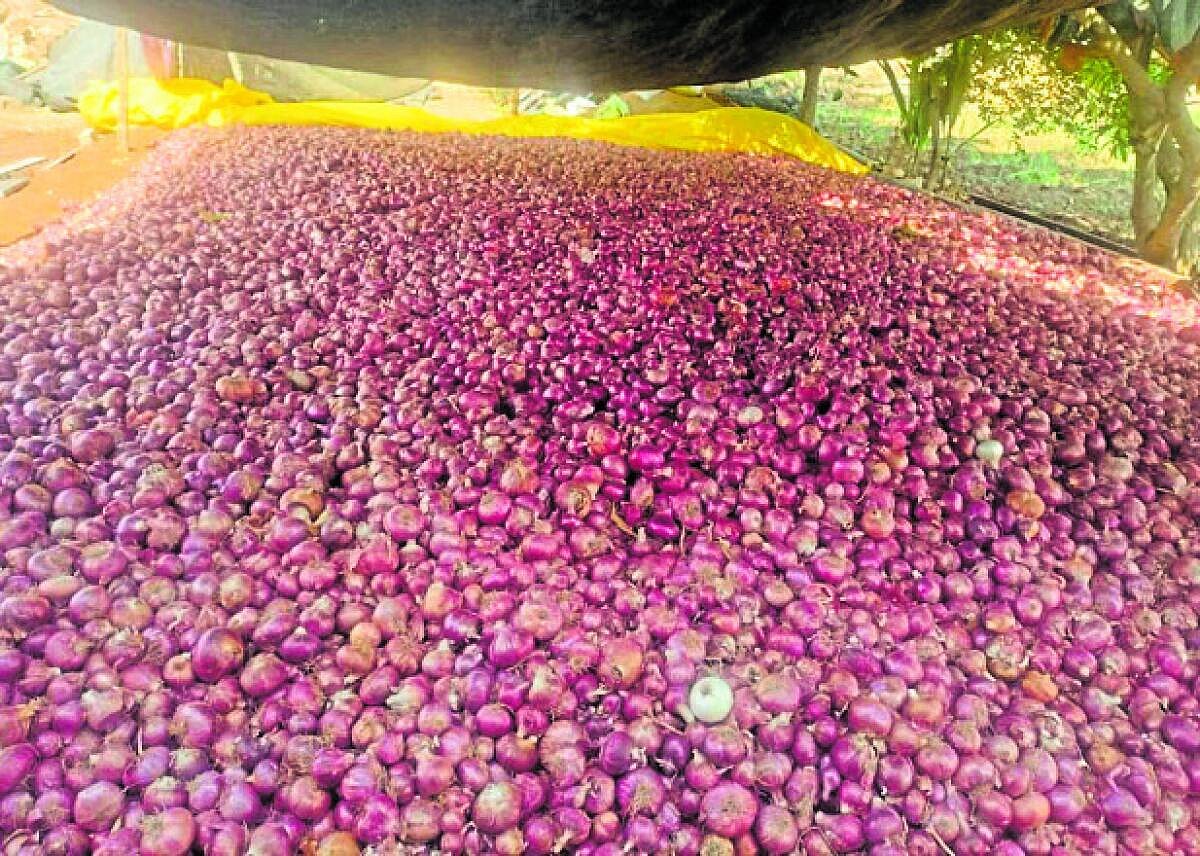 ವೇಮಗಲ್: ಗಗನಕ್ಕೇರಿದ ಈರುಳ್ಳಿ ದರ, ಗ್ರಾಹಕರಿಗೆ ಕಣ್ಣೀರು