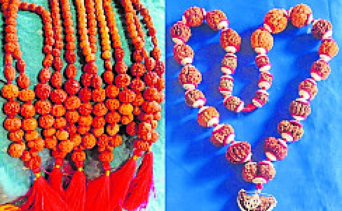 ರುದ್ರಾಕ್ಷಿ ಪ್ರದರ್ಶನ, ಮಾರಾಟ; ನಾಳೆ ಕೊನೆಯ ದಿನ