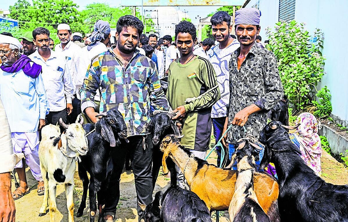 ಹೋತ–ಟಗರುಗಳ ಖರೀದಿ ಭರಾಟೆ