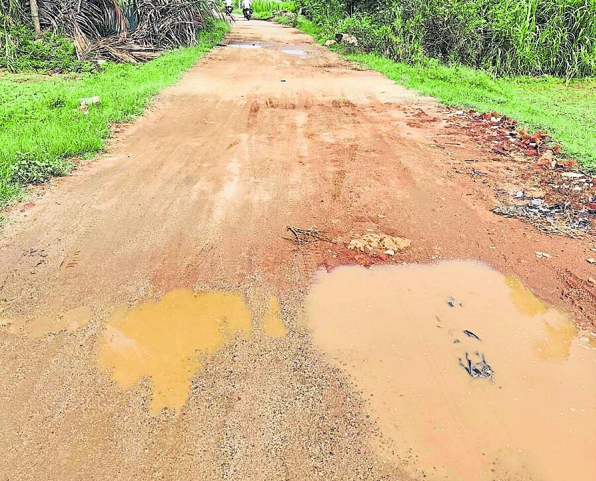 ಡಾಂಬರು ಕಾಣದ ಗಂದೋಡಹಳ್ಳಿ ರಸ್ತೆ
