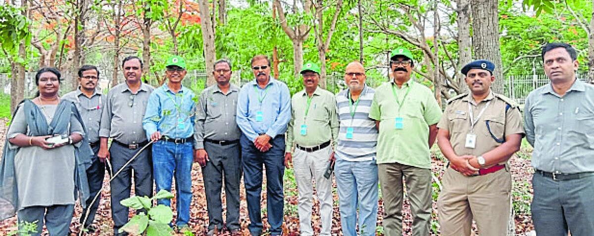 137 ಮರ ಕಡಿಯಲು ಆಕ್ಷೇಪವಿಲ್ಲ: ಪನಾಸಂ