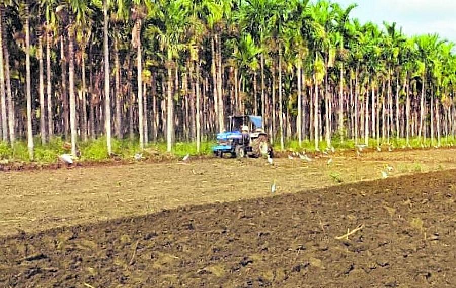 ಹದ ಮಳೆ: ಬಿತ್ತನೆಗೆ ಭೂಮಿ ಸಿದ್ಧತೆ