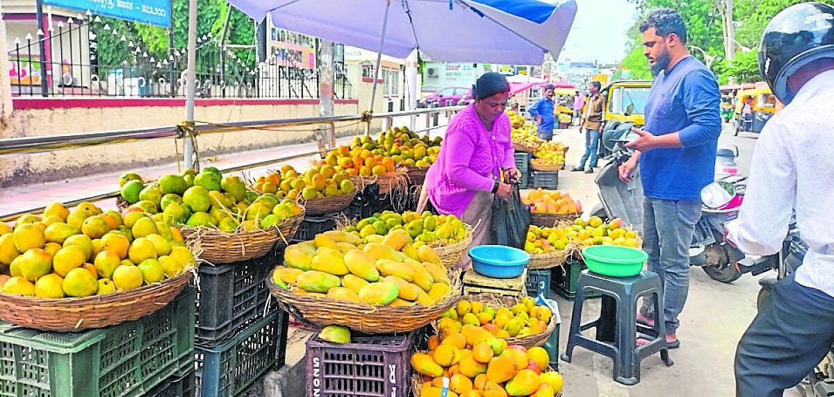 ಉತ್ತಮ ಇಳುವರಿಯಲ್ಲೂ ದರ ಏರಿಕೆ ಬಿಸಿ