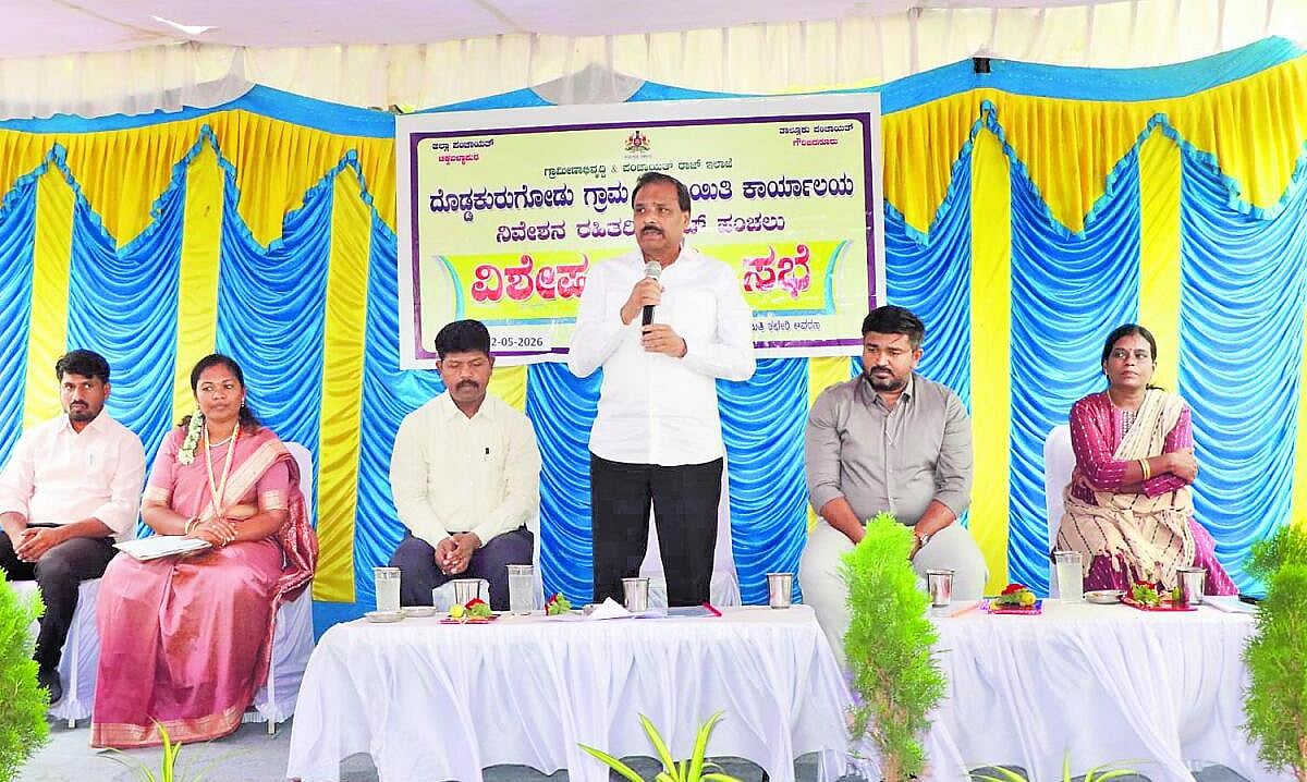 ಜನಪರ ಕೆಲಸಕ್ಕೆ ಅಡ್ಡಿ ಬೇಡ: ಶಾಸಕ