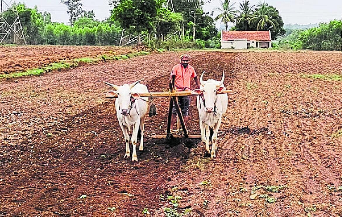 ಹಳ್ಳಿಗಳಲ್ಲಿ ಬೀಜೋಪಚಾರ ಆಂದೋಲನ