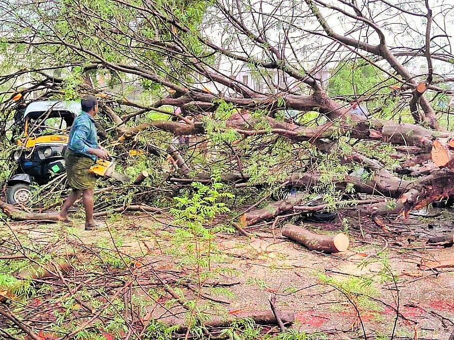 ರಾಜ್ಯದ ವಿವಿಧೆಡೆ ಹದ ಮಳೆ