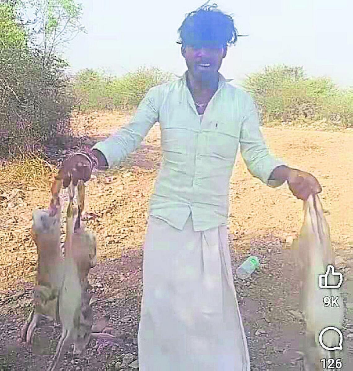 ವನ್ಯಜೀವಿ ಬೇಟೆ ತಡೆಗೆ ಕಾರ್ಯಾಚರಣೆ
