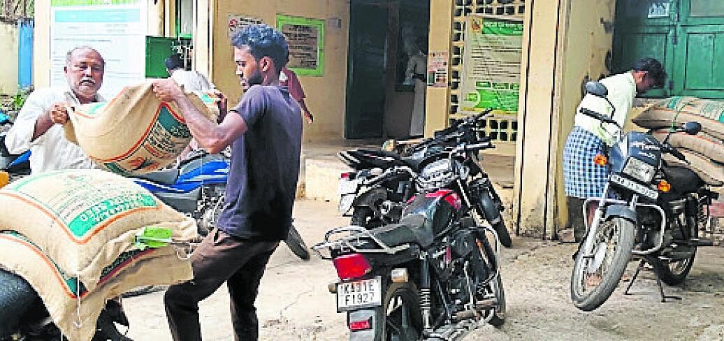 ಹದವಾದ ಮಳೆ: ಗರಿಗೆದರಿದ ಕೃಷಿ ಚಟುವಟಿಕೆ