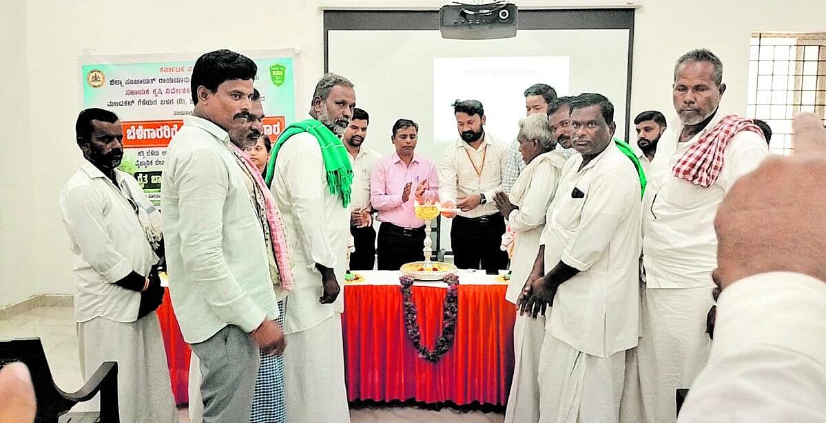 ದೇವದುರ್ಗ: ಹತ್ತಿ ಬೆಳೆ; ರೈತರಿಗೆ ತರಬೇತಿ