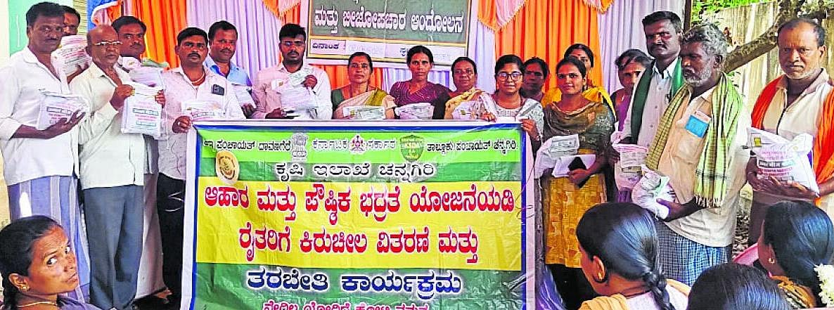 ಬೀಜೋಪಚಾರ ಕೈಗೊಂಡರೆ ಉತ್ತಮ ಬೆಳೆ