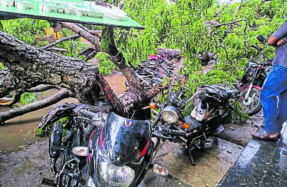 ಬಿರುಗಾಳಿ ಸಹಿತ ಮಳೆ: ನೆಲಕ್ಕುರುಳಿದ ಮರ