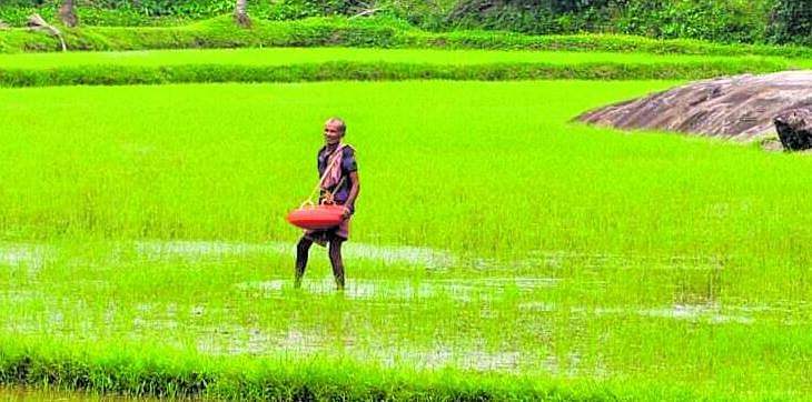 ಮಳೆ ಕೊರತೆ | ತುಂಬಿಲ್ಲ ಬೆಟ್ಟುಗದ್ದೆ: ಭತ್ತಕ್ಕೆ ಎಳ್ಳುನೀರು