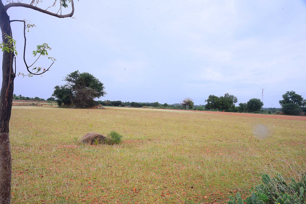 ‘ಪುಷ್ಯ’ ಕೈಕೊಟ್ಟರೆ ಕೂಲಿಯೇ ಆಸರೆ: ವಲಸೆ ತೆರಳಲು ಸಿದ್ಧರಾಗುತ್ತಿರುವ ರೈತರು