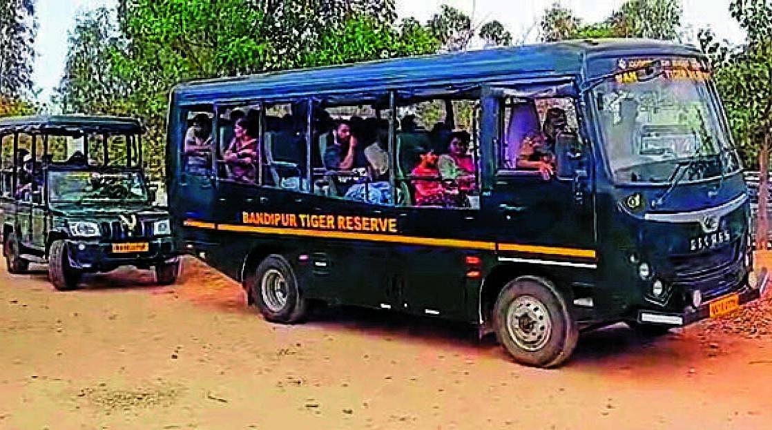 Forest News: ಬಂಡೀಪುರ, ನಾಗರಹೊಳೆ ಸಫಾರಿ ಇಂದಿನಿಂದಲೇ ದುಬಾರಿ, ಹೊಸ ದರ ಹೇಗಿದೆ