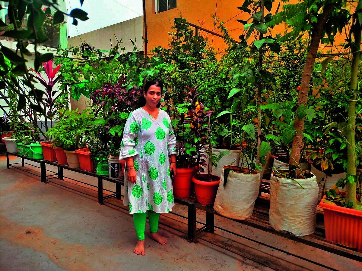 ತಾರಸಿ ತೋಟ: ಚೆಂದದ ಮನೆಯ ಅಂದದ ನೋಟ