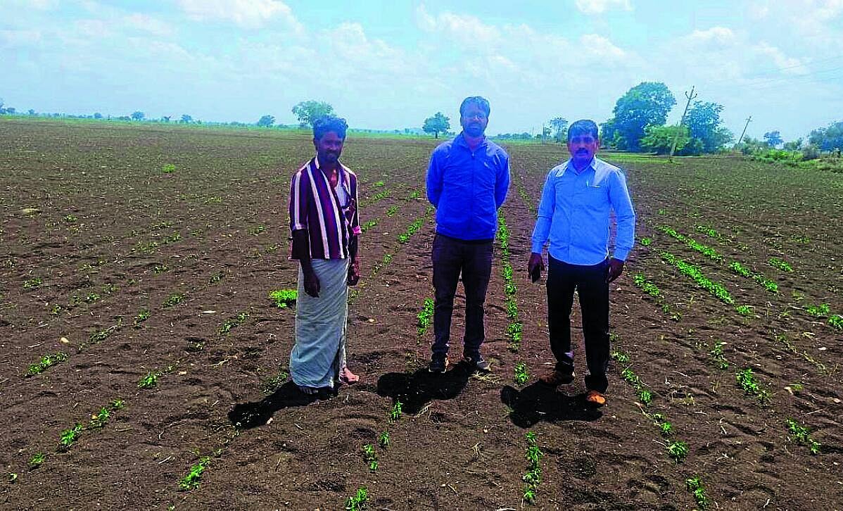 ತೋಟಗಾರಿಕೆ ಬೆಳೆಗಳಿಗೂ ಕುತ್ತು, ರೈತರಿಗೆ ಆತಂಕ
