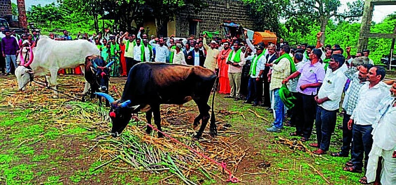 Photo from Prajavani