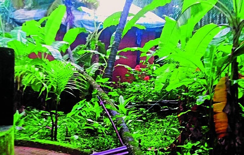 Photo from Prajavani