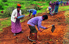 Photo: Prajavani