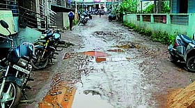 Photo: Prajavani