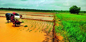 Photo: Prajavani