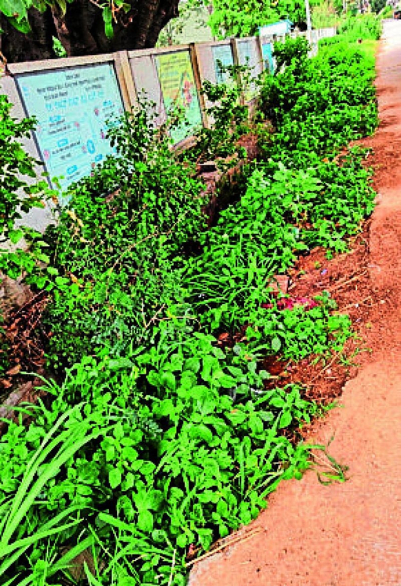 Photo from Prajavani