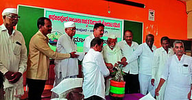 Photo: Prajavani
