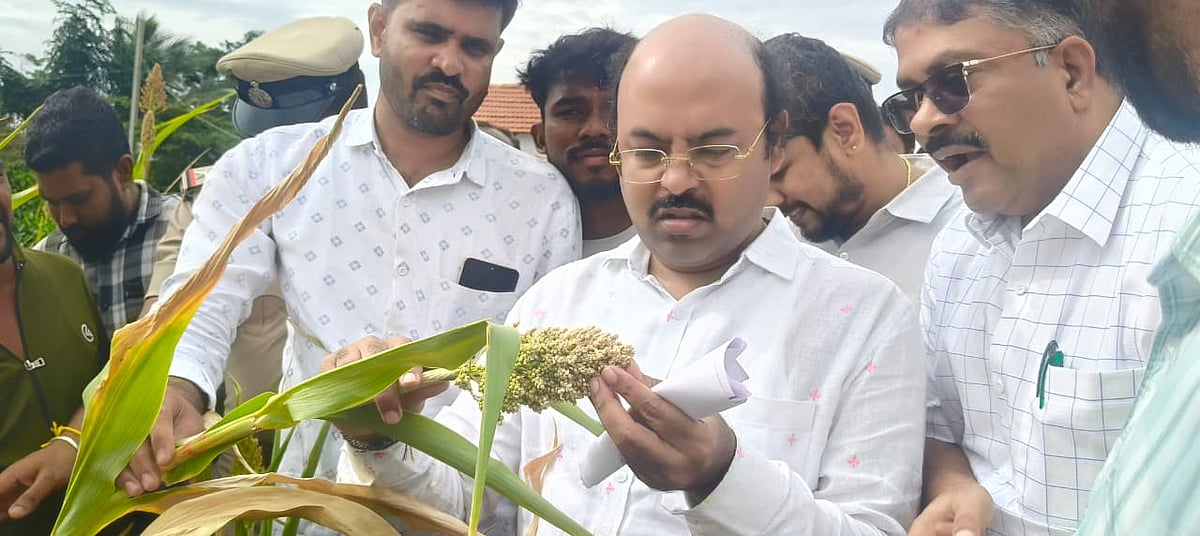 ಬರ ಪರಿಸ್ಥಿತಿ ಸಮರ್ಥವಾಗಿ ಎದುರಿಸಿ: ಅಧಿಕಾರಿಗಳಿಗೆ ಸಚಿವ ಯತೀಂದ್ರ ಸೂಚನೆ