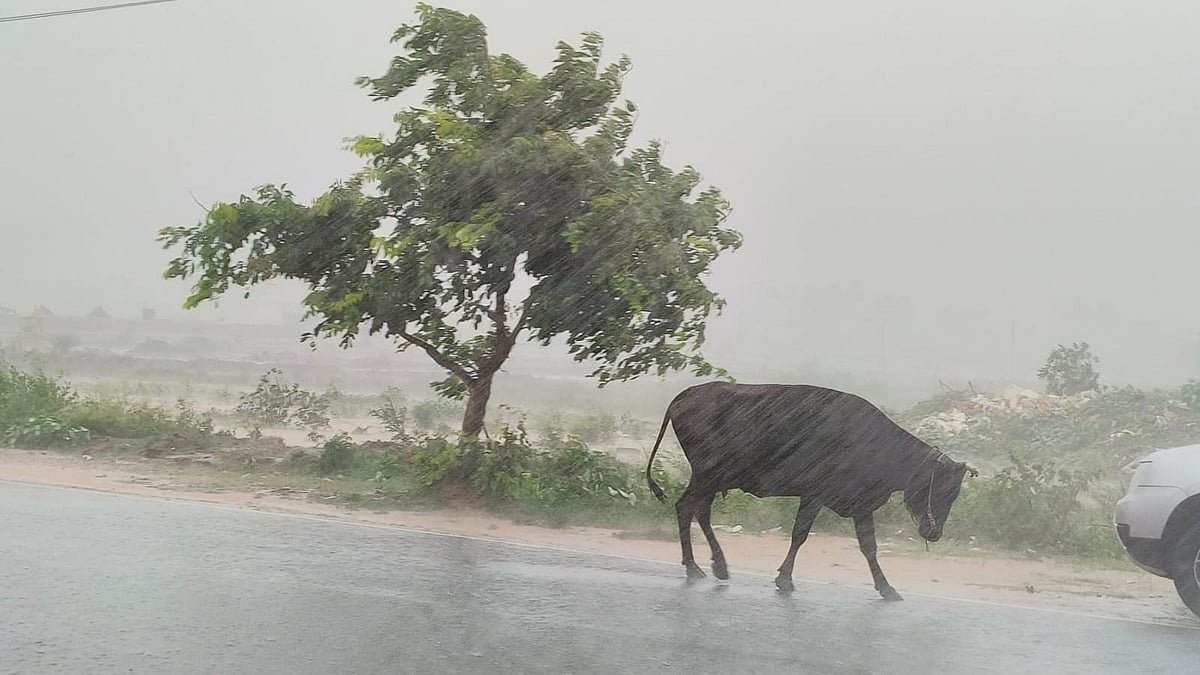 Karnataka Rains: ಉತ್ತರ ಕನ್ನಡ, ಶಿವಮೊಗ್ಗ ಜಿಲ್ಲೆಯಲ್ಲಿಂದು ಭಾರಿ ಮಳೆ ಸೂಚನೆ