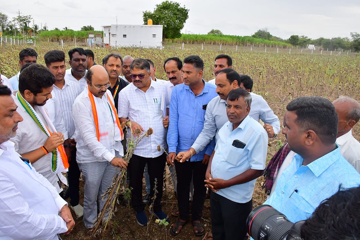 ನಂಜನಗೂಡಿನಲ್ಲಿ ಬರ ಪರಿಸ್ಥಿತಿ ವೀಕ್ಷಿಸಿದ ಸಚಿವ ಯತೀಂದ್ರ