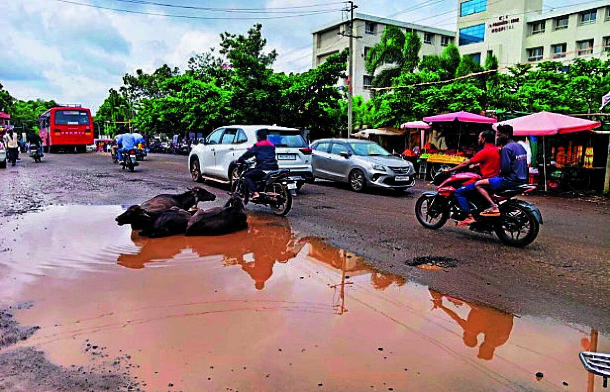 ಚಿಕ್ಕೋಡಿ ಪಟ್ಟಣದಲ್ಲಿ ಸುಗಮ ಸಂಚಾರ ಮರೀಚಿಕೆ; ರಸ್ತೆ ಗುಂಡಿಗಳಿಂದ ಜನರಿಗೆ ತೊಂದರೆ