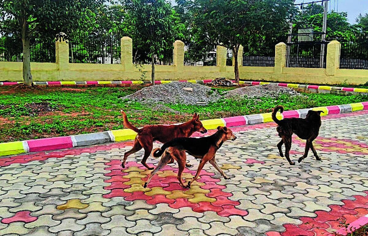 ರಾಘವೇಂದ್ರಸ್ವಾಮಿ ದೇಗುಲದ ಬಳಿ ನಿರ್ಮಿಸಿದ ಉದ್ಯಾನ:ಕೋಟಿ ಖರ್ಚಾದರೂ ಈಡೇರದ ಉದ್ಧೇಶ