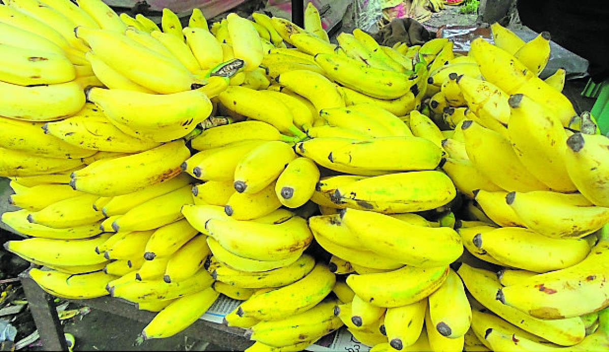 ತುಮಕೂರು | ಏಲಕ್ಕಿ ಬಾಳೆ: ಕೆ.ಜಿ ₹100