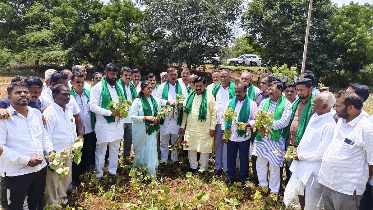 ಯರಗಟ್ಟಿ: ಬಿಜೆಪಿ ತಂಡದಿಂದ ಬರ ಪರಿಸ್ಥಿತಿ ವೀಕ್ಷಣೆ