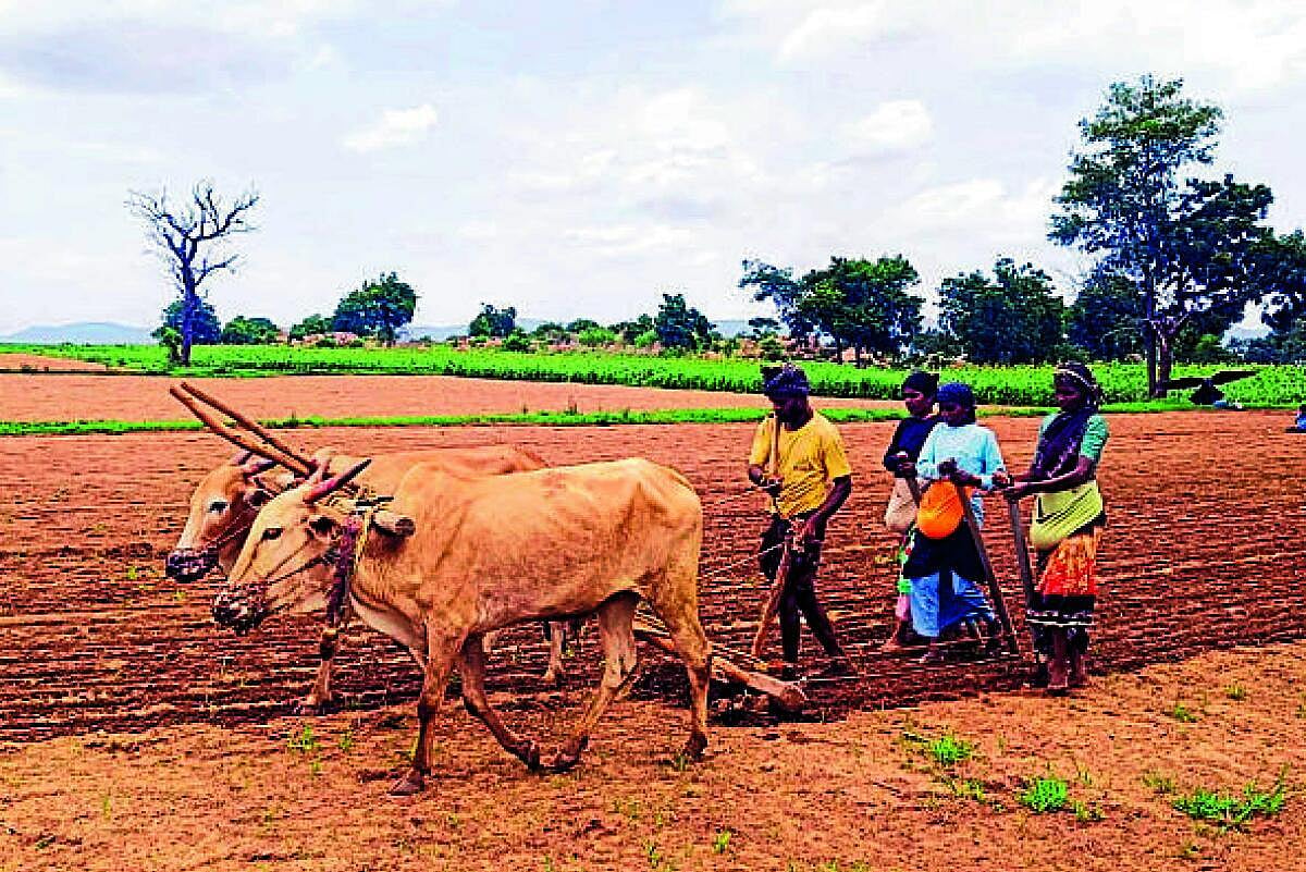 ಮರಿಯಮ್ಮನಹಳ್ಳಿ: ಮತ್ತೆ ಗರಿಗೆದರಿದ ಕೃಷಿ ಚಟುವಟಿಕೆ