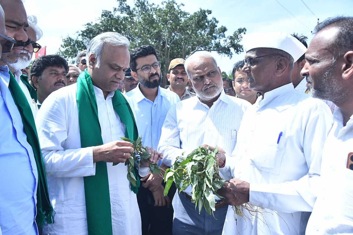 ಕಲಬುರಗಿ: ಬರ ಪರಿಸ್ಥಿತಿ ಅವಲೋಕಿಸಿದ ಸಚಿವ ಪ್ರಿಯಾಂಕ್ ಖರ್ಗೆ