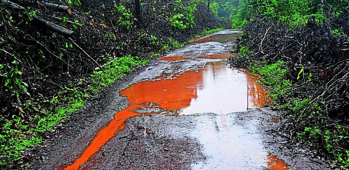 ಗುಂಡಿ–ಗೊಟರುಗಳೇ ಕೊಪ್ಪ ತಾಲ್ಲೂಕಿನ ಮೇಗೂರು–ಯಡಗುಂದ ರಸ್ತೆಯ ದುಸ್ಥಿತಿ