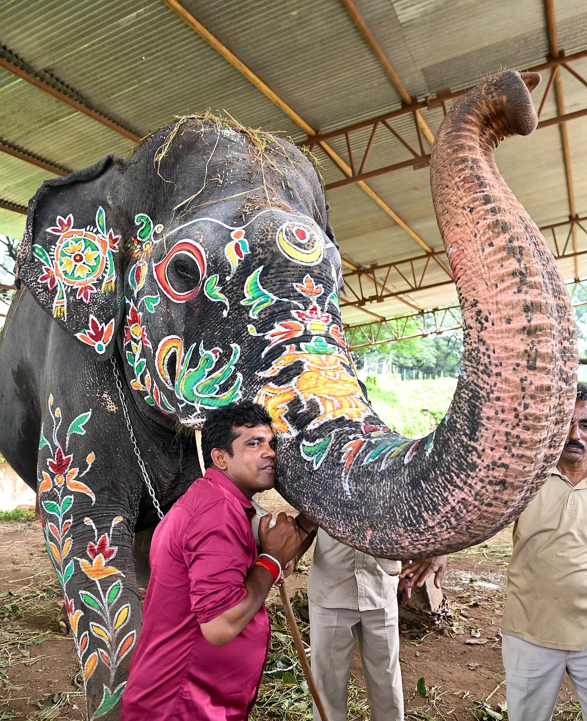 ಮೈಸೂರು ದಸರಾ: ಜಂಬೂ ಸವಾರಿಗಿಲ್ಲ ‘ಕ್ಯಾಪ್ಟನ್‌’ ಅಭಿಮನ್ಯು!