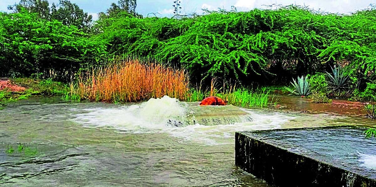 ಕೆರೆಗಳಿಗೆ ಜೀವಕಳೆ ತುಂಬಿದ ‘ಕೃಷ್ಣಾಭಾಗ್ಯ’