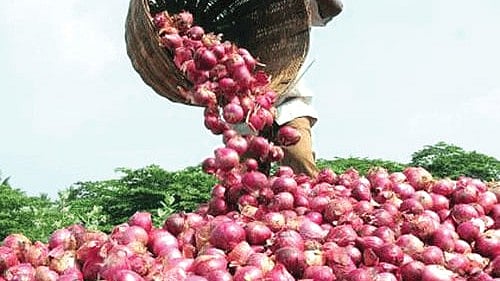 Onion Price: ಕರ್ನಾಟಕದಲ್ಲಿ ಈರುಳ್ಳಿ ಬೆಲೆ ಮುಂದಿನ 5 ತಿಂಗಳಲ್ಲಿ ಎಷ್ಟಾಗಬಹುದು?