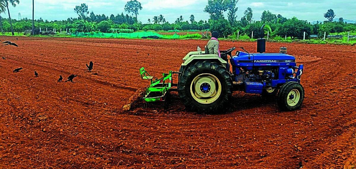 ಕೋಲಾರ : ಆರೂ ತಾಲ್ಲೂಕಿಗೂ ಬರದ ಬರೆ!