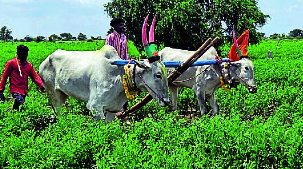 ಹುಣಸಗಿ: 15 ತಾಸಲ್ಲಿ 29 ಎಕರೆ ಕುಂಟಿ ಹೊಡೆದರು