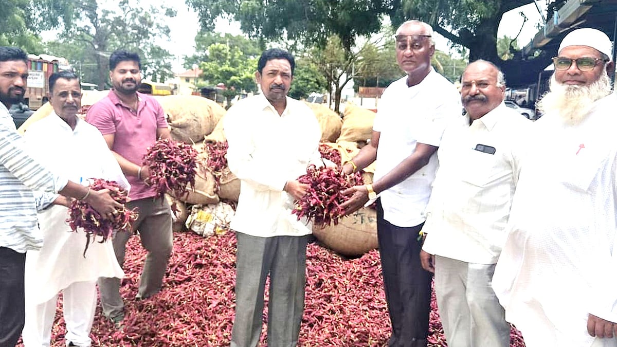 ಮೆಣಸಿನಕಾಯಿ: ಕ್ವಿಂಟಲ್ಗೆ ₹ 50,669 ದರ