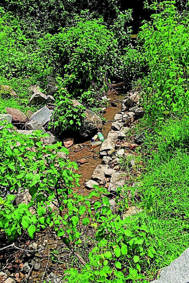 ಗುರುಮಠಕಲ್: ರೋಗಗ್ರಸ್ತ ಕಾಲುವೆಗಳಿಗೆ ಬೇಕು ಚಿಕಿತ್ಸೆ