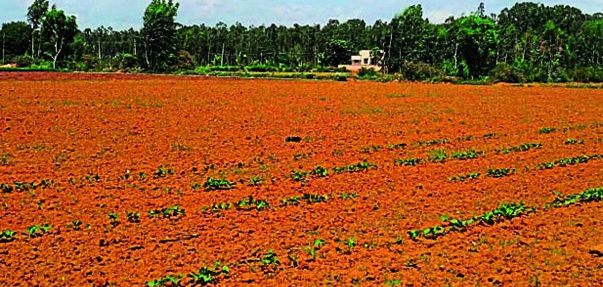 ಹೊಸಕೋಟೆ: ಬರ ನಿರ್ವಹಣೆಗೆ ಸಿದ್ಧತೆ