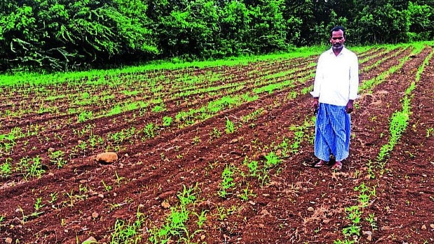 ಕಾಳಬೆಳಗುಂದಿ: ಬೆಳೆಹಾನಿ ಗಾಯಕ್ಕೆ ಮದ್ದಾಗದ ‘ಬರ’ ಘೋಷಣೆ, ರೈತರಲ್ಲಿ ಆತಂಕ