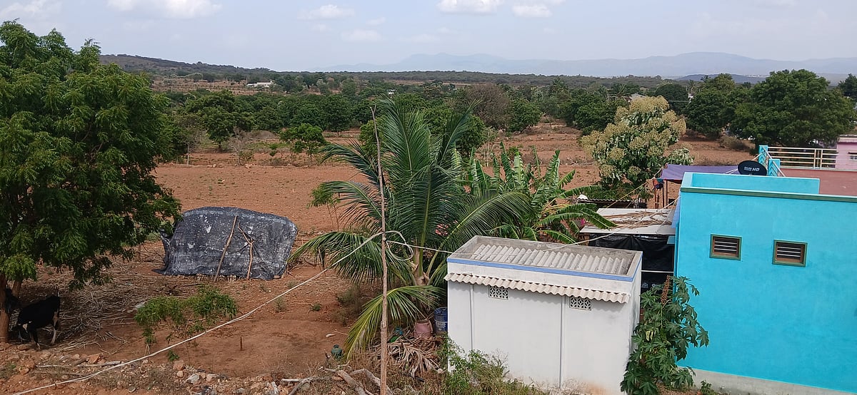 ಹನೂರು| ಕಾಡುಪ್ರಾಣಿ ಮಾಂಸದ ಮೋಹ; ಬೇಟೆಯ ದಾಹ