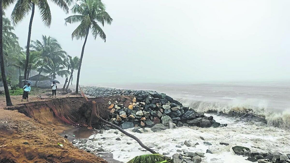 ಕಡಲತೀರದಲ್ಲಿ ಮಾನವ ಹಸ್ತಕ್ಷೇಪಕ್ಕೆ ಮಿತಿ ಇರಲಿ
