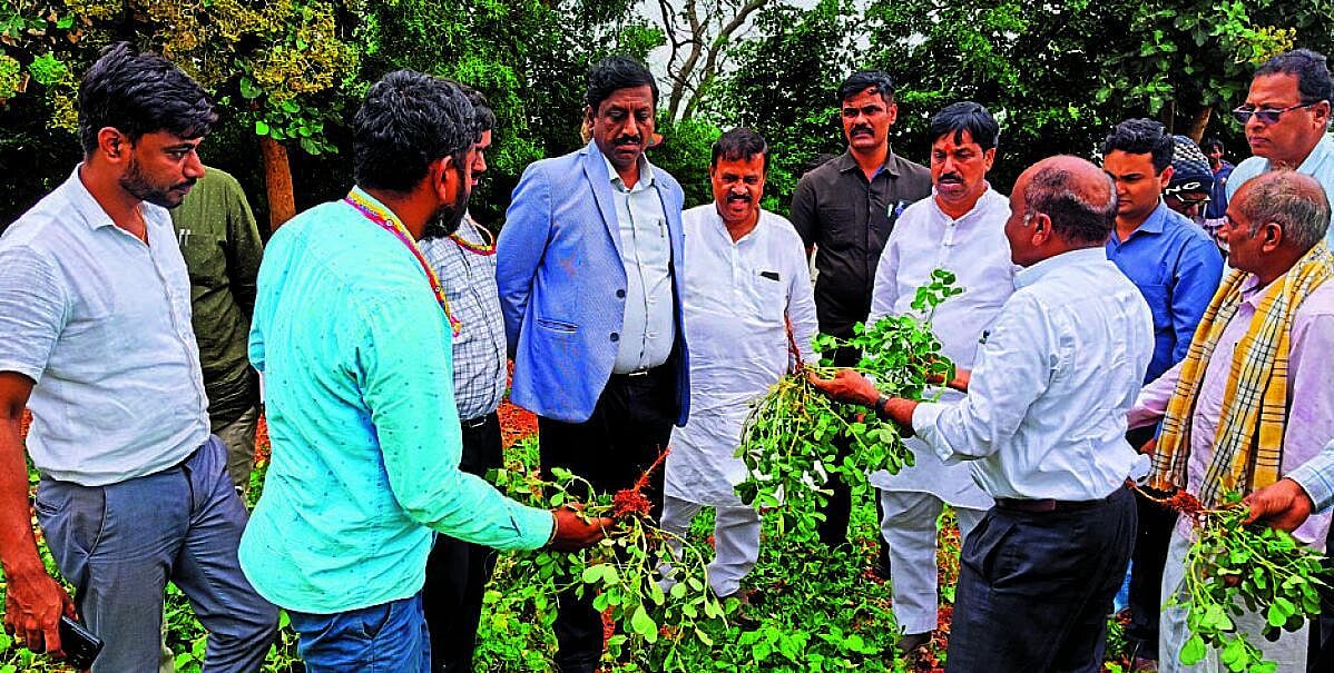 ‘ಬರ’ ಇದ್ದರೂ ಸರ್ಕಾರದ ಪಟ್ಟಿಗೆ ಸೇರದ ಹಾವೇರಿ: ರೈತರ ಆಕ್ರೋಶ